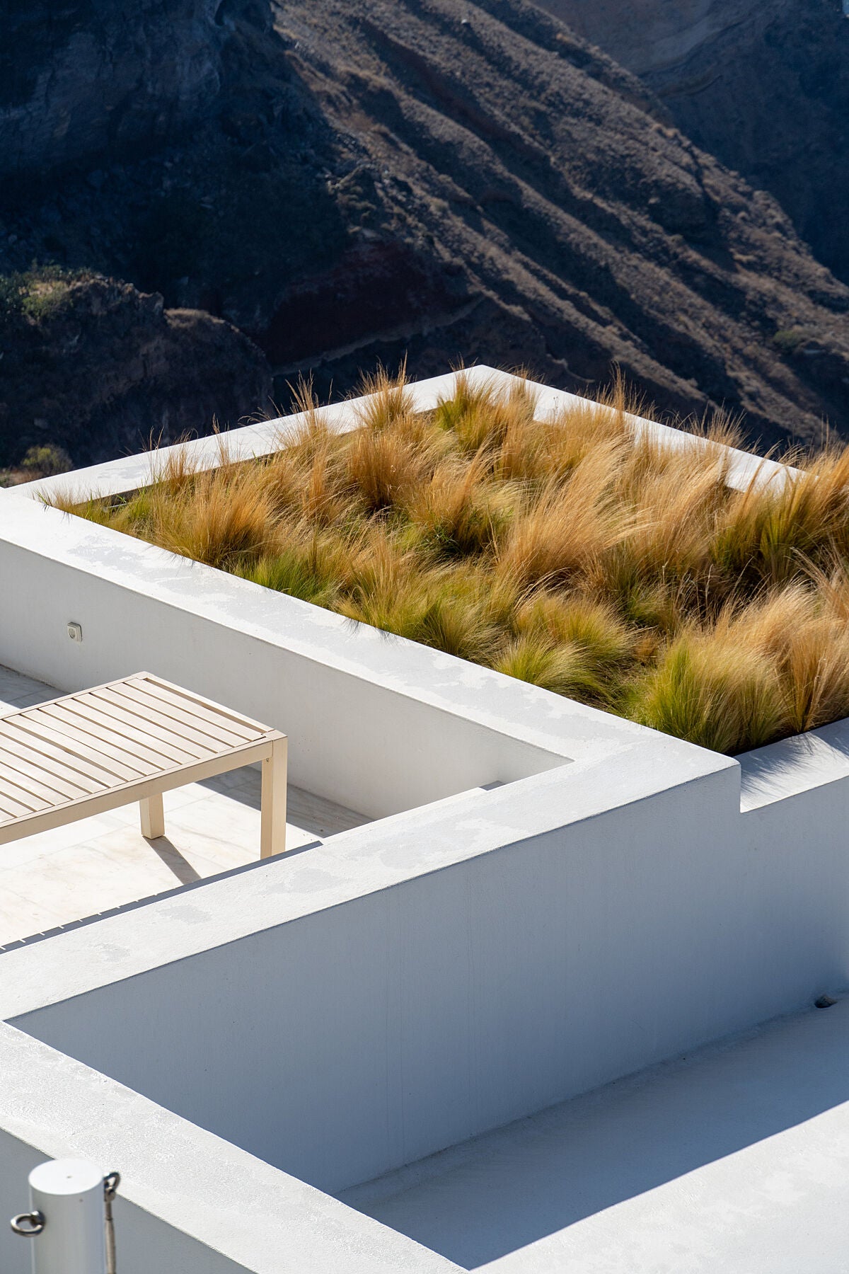 Santorini Vegetation photography print by Erica Goldemberg
